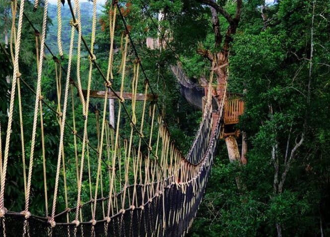 Cape Coast Tour
