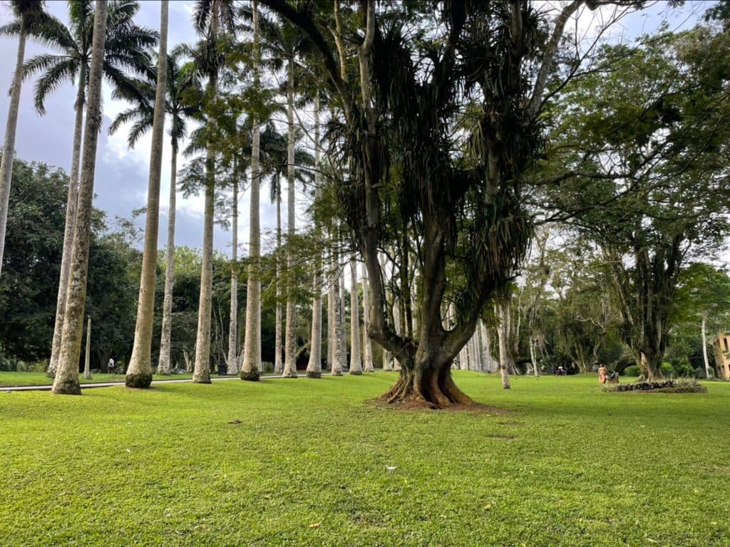 Nature Tour